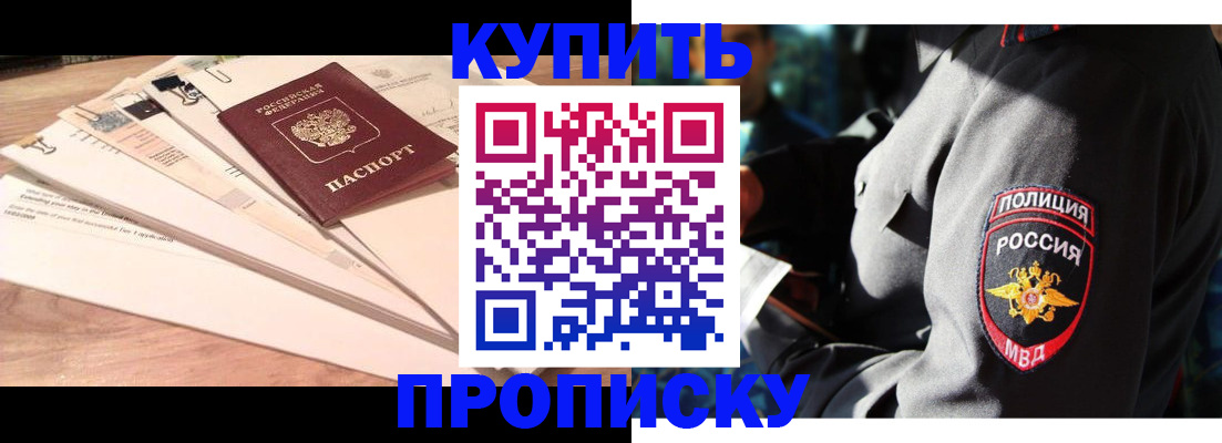 прописка поиск в Бердске